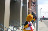Muddy Mascot