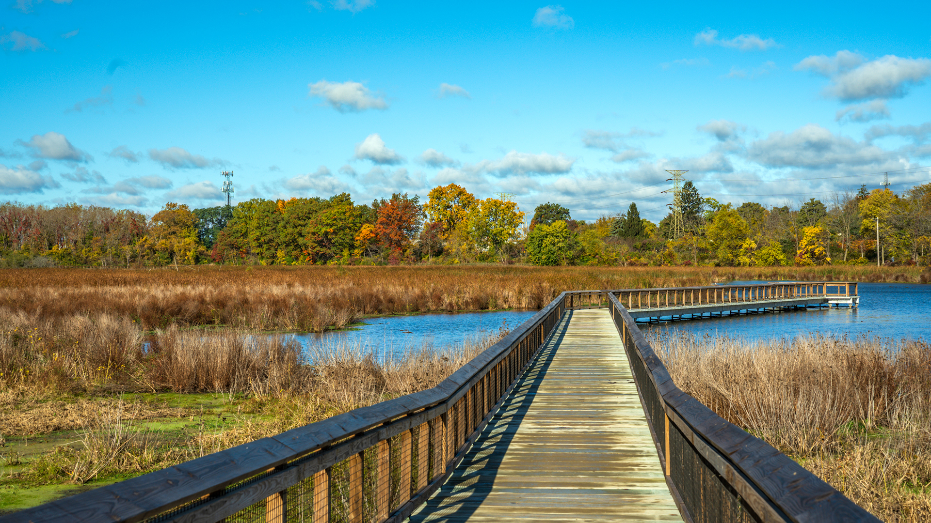 Image for the Point of Interest Manhattan Marsh Preserve Metropark