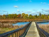 Image for Manhattan Marsh Preserve Metropark
