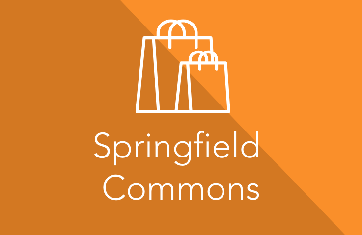 Image for the Point of Interest Springfield Commons