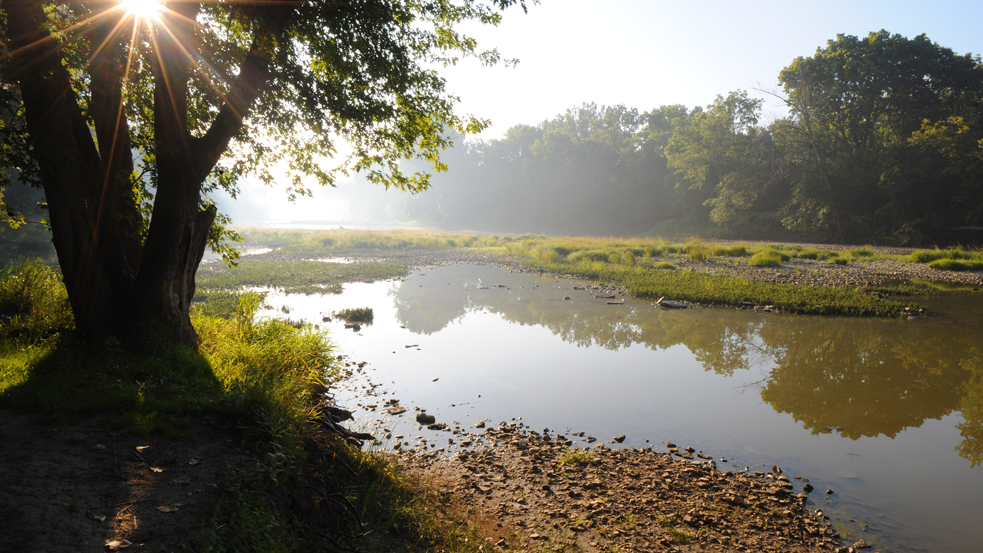 Image for the Point of Interest Side Cut Metropark