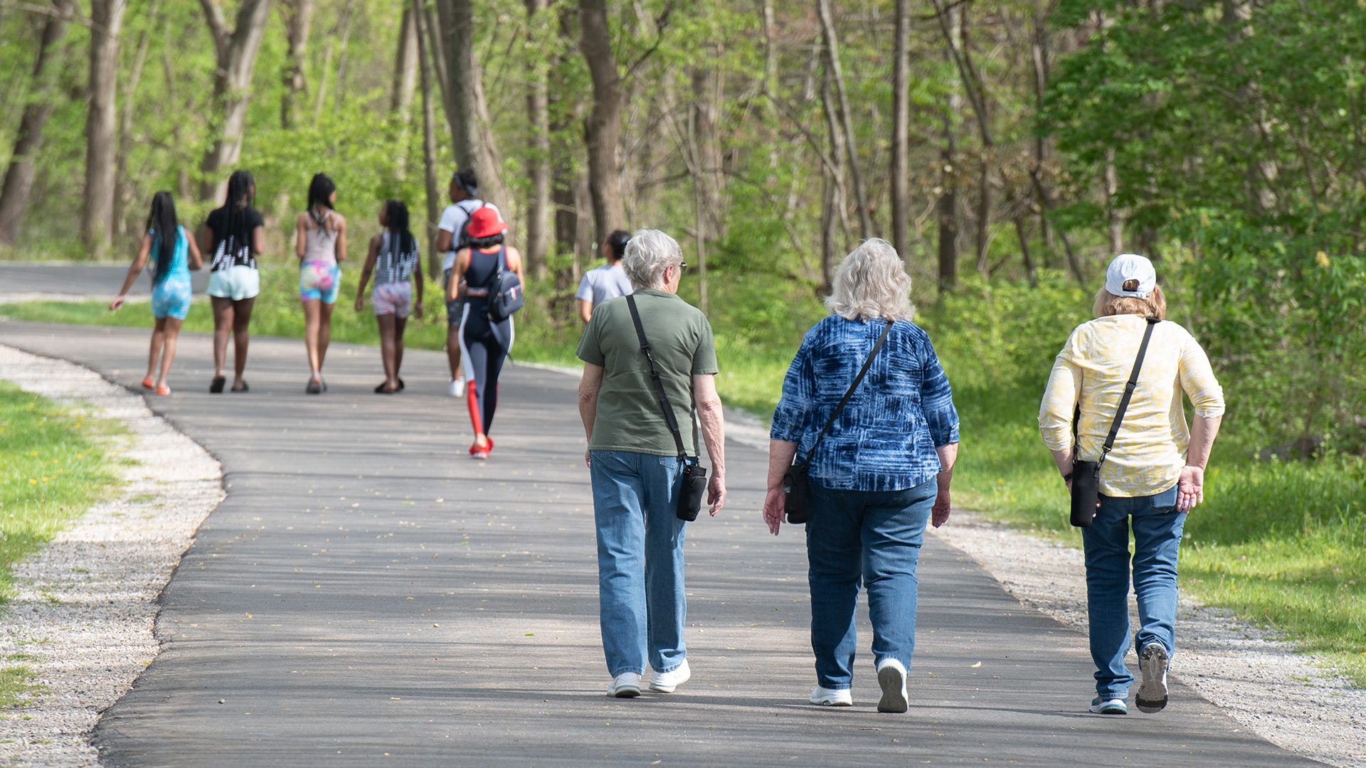 Image for the Point of Interest Swan Creek Preserve Metropark
